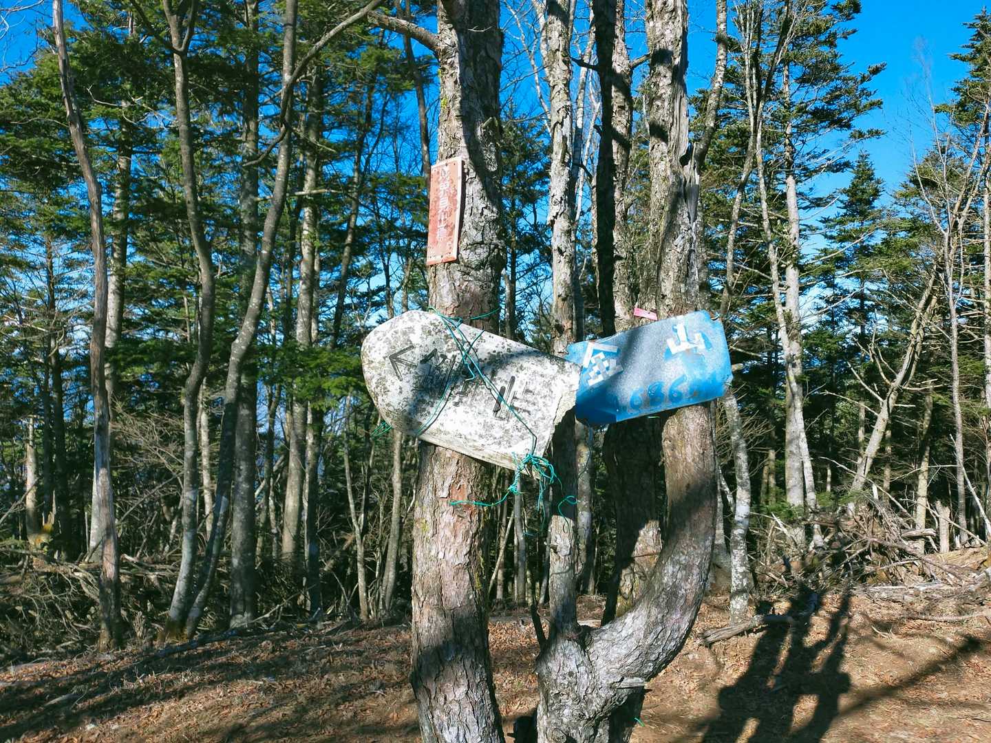 大石峠入口バス停-淵坂峠-毛無山-十二ヶ岳-金山-節刀ヶ岳 周回コースの写真