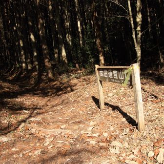 武田道から東の宮はの登り口🥾
