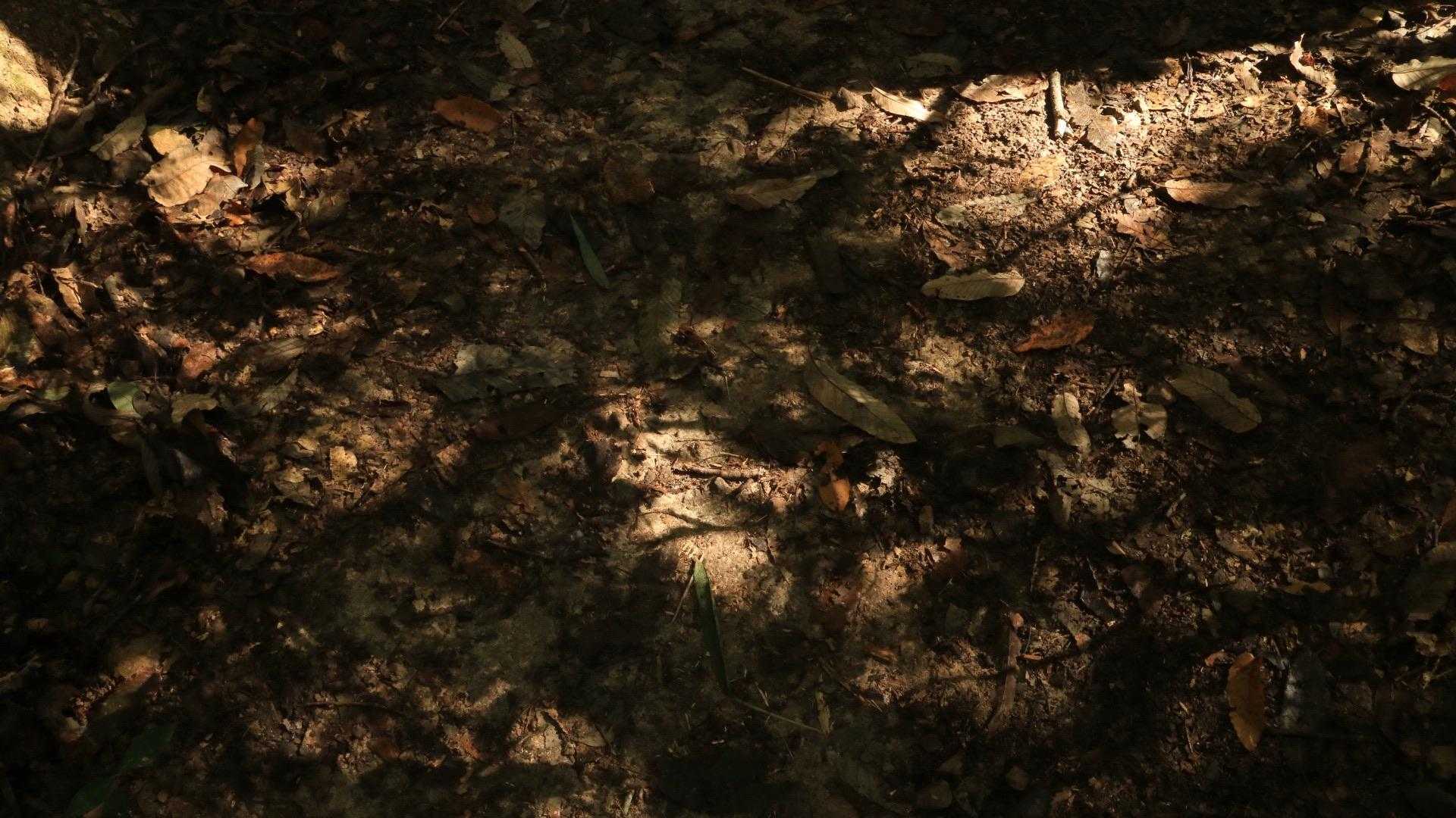 光と陰🤔