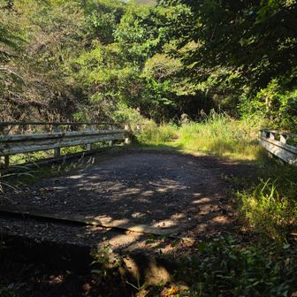 登山道には不釣り合いなほど立派な橋ですね😅
