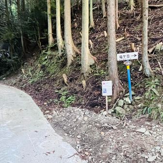 右手から登ります