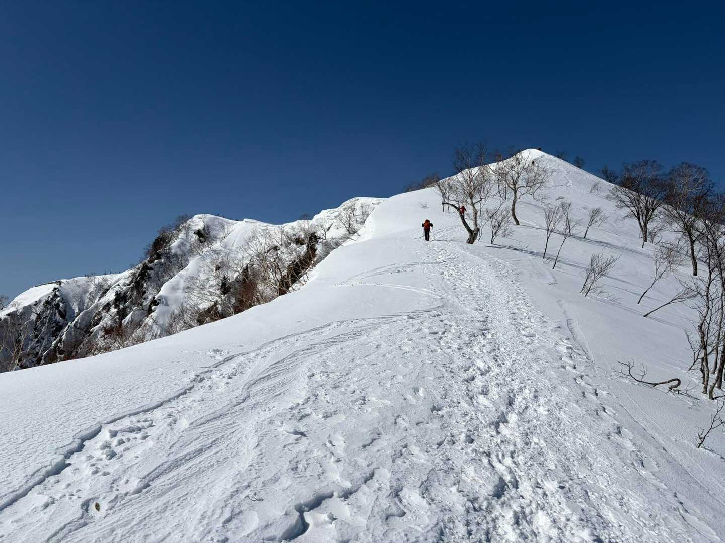 地蔵の頭-二ノ背髪-小遠見山-五竜登山口-中遠見山-大遠見 縦走コースの写真
