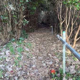 パイプで手すりもあり安全です