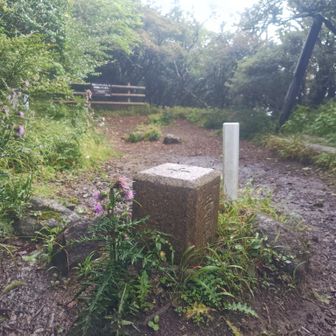 サンカクテイン。