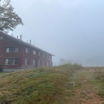 20分ほどロードを歩き、和田小屋に到着。
さあ、樹林帯歩きを回避する為にオトナの力💰を使ってリフトでワープ‼️

…今年は運休…😨

足の心配もありワープできる苗場山を選んだが、全力で足だけで行く事が決まった瞬間であった…😫