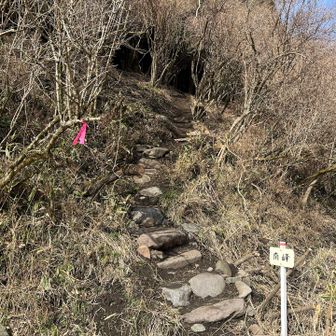 ここから登山道へ入る