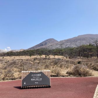 良いとこでした🙆