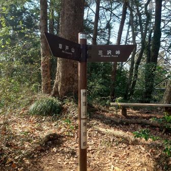 高尾ハートルートと一部交わる。榎窪山。