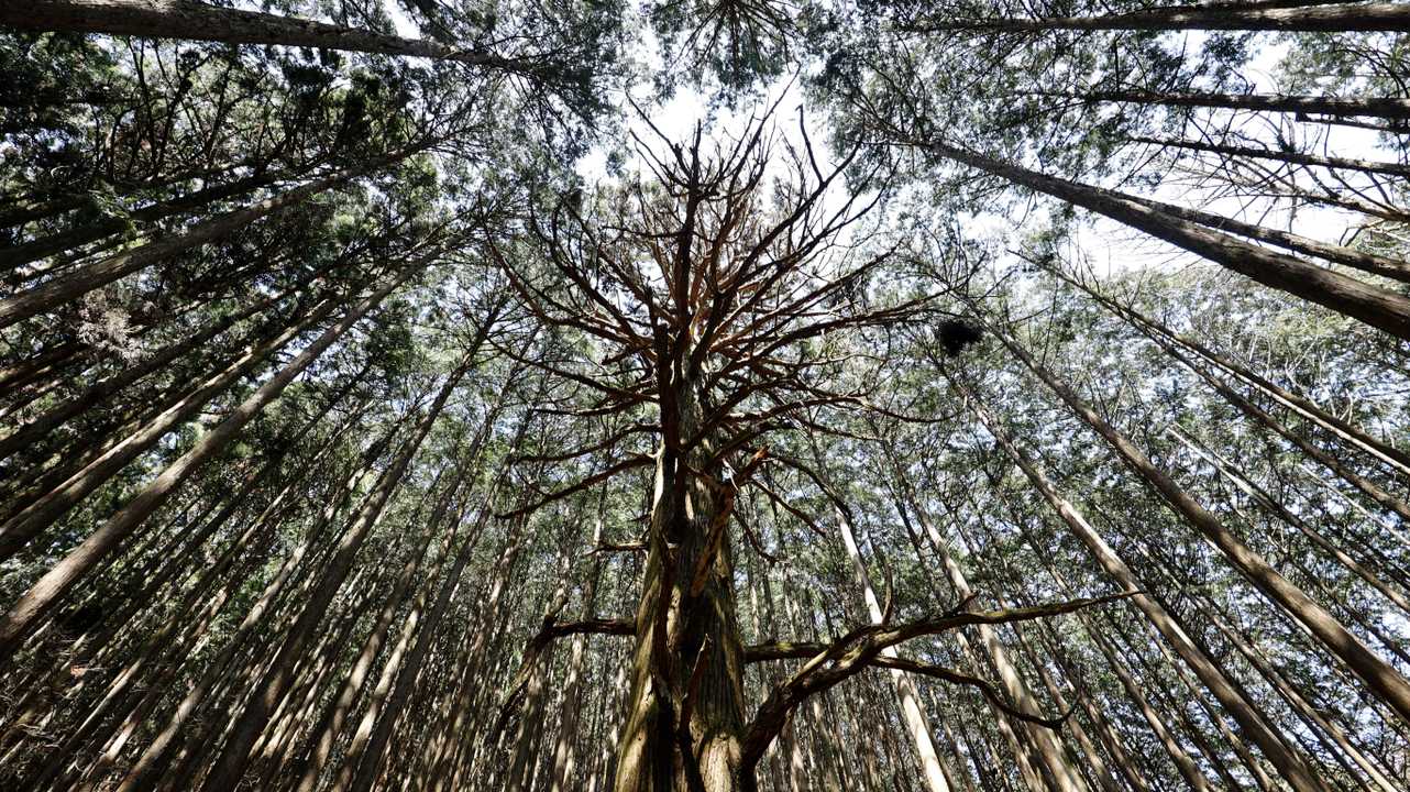 武甲山 の写真 2