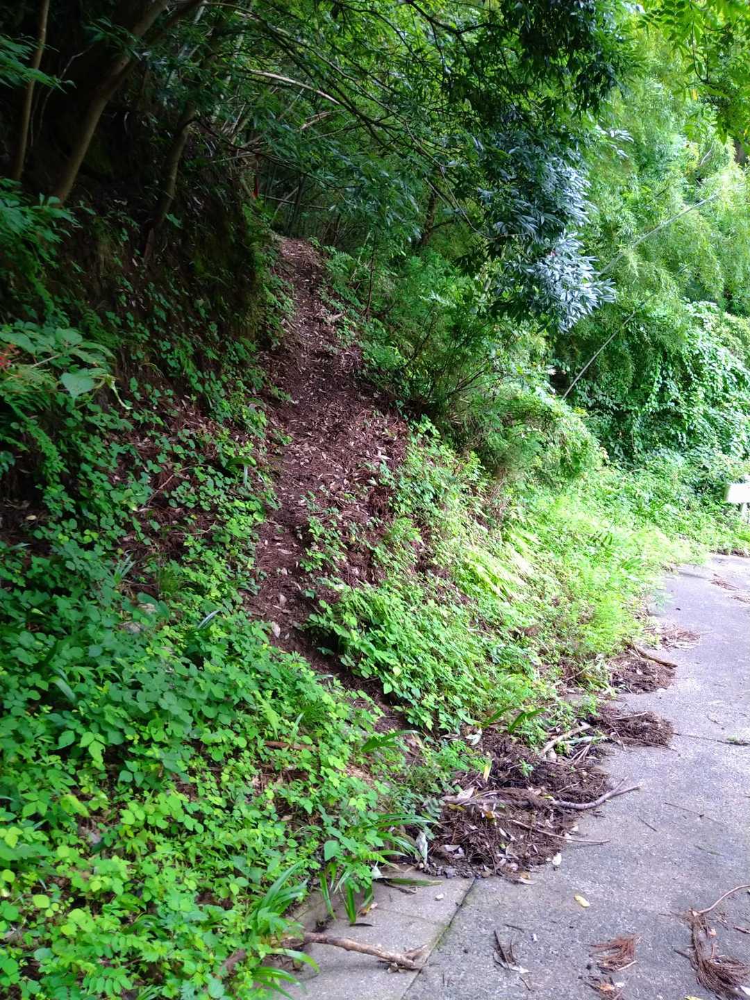 ココ！確認したはずなのに、登山口何回もスルーして、往復(^_^;)