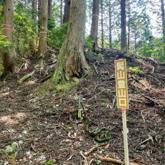 清水峠に戻り、髭山登山口から髭山へ