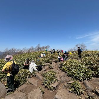 山頂は、そこそこの賑わい。