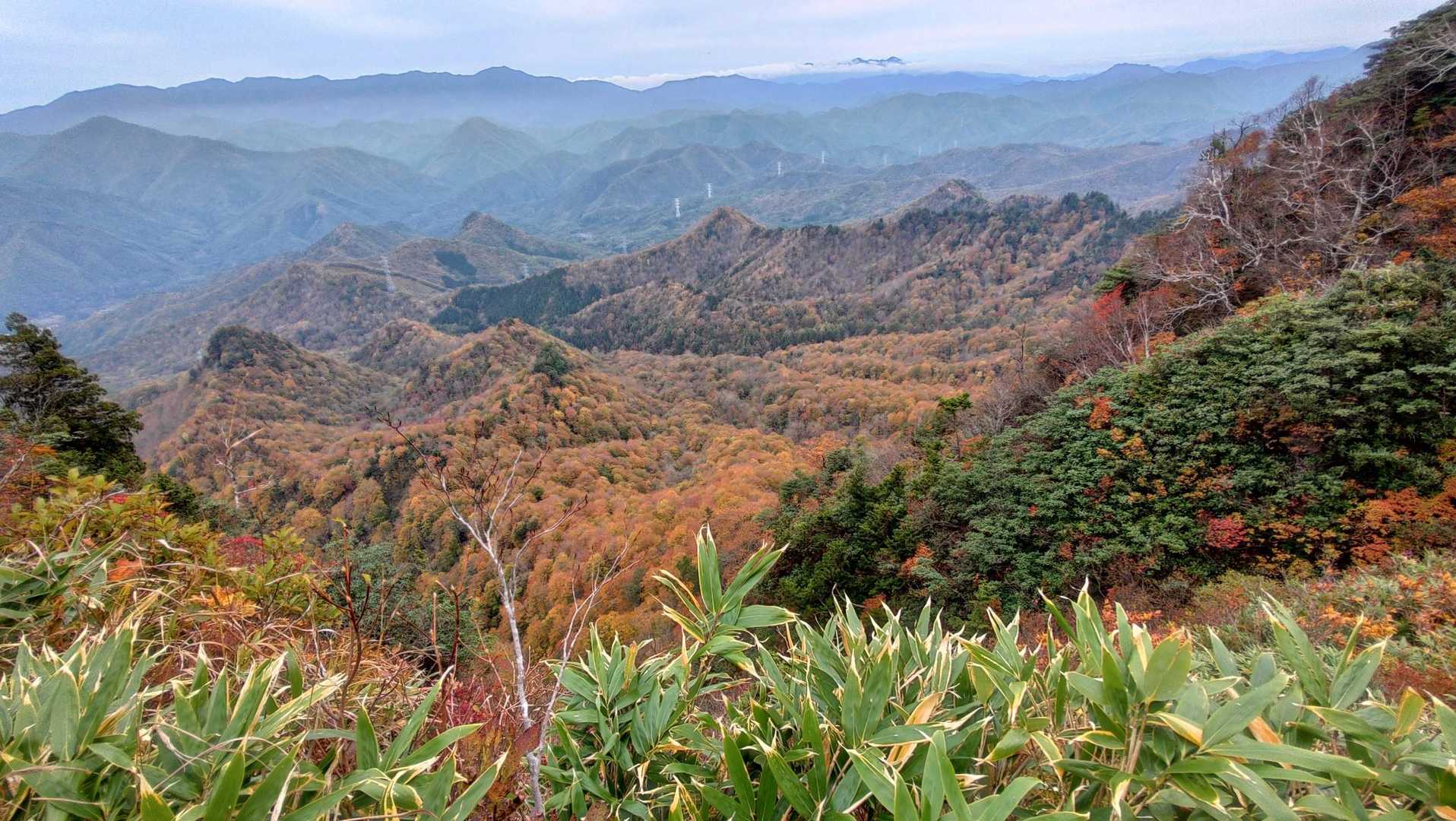下岳登山口-黒森沢コース登山口-七ヶ岳-三番岳-下岳 周回コースの写真