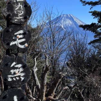 山頂看板とフジさん