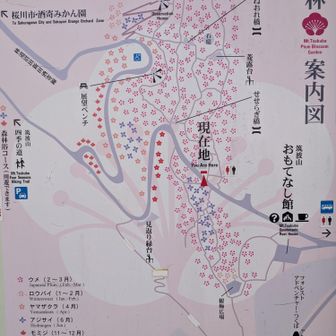 開花場所マップ🌼