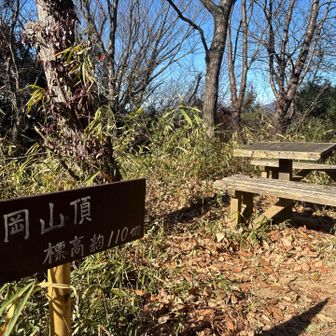 富岡山も経由して