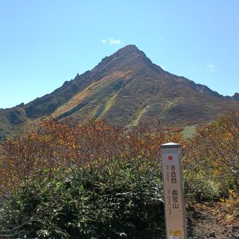 登りではこの8合目まで上がらないと利尻山は見えません