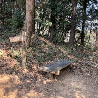 ここにも休憩用のベンチ。よく整備されてます