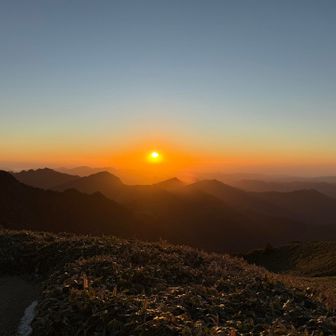 今日もいいんじゃないでしょうか🙃