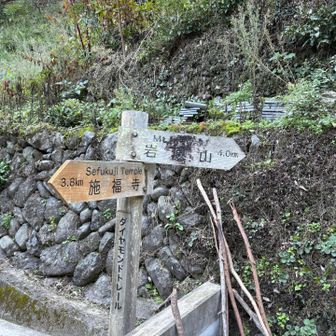 滝畑ダムの駐車場裏手より岩湧山へ。
ここを起点に岩湧山と施福寺を行っても
よかったか・・・
（この駐車場が24時間営業って知りませんでした）