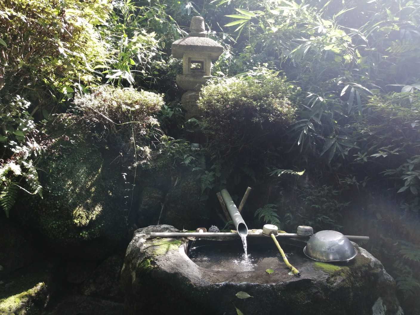 手水舎✨