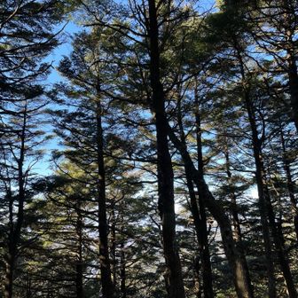 風もやんで静か