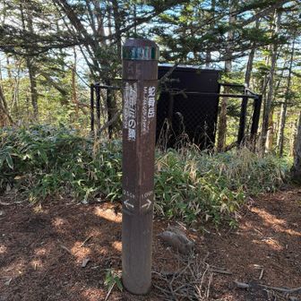 この先も興味あるけれど、貧脚の私は帰ります…
