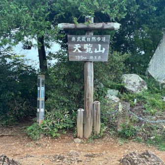 天覧山登頂〜⛰️

無事に下山できてホッ😌
今日もお疲れ⛰️ありがと⛰️でした❣️