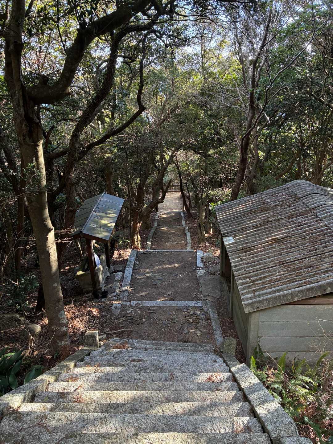 大山 往復コースの写真