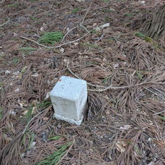 何三角点だかまで見て無かったな