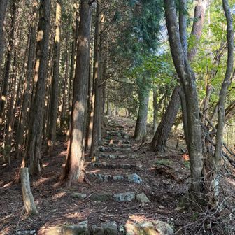 急登続きます〜