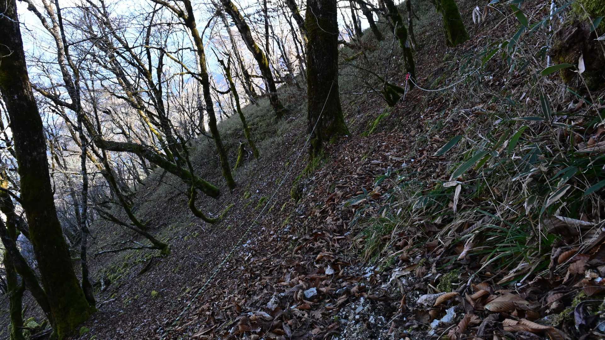 峠から岩小屋までのトラバース区間が若干歩きにくい
地面はカチコチ😳