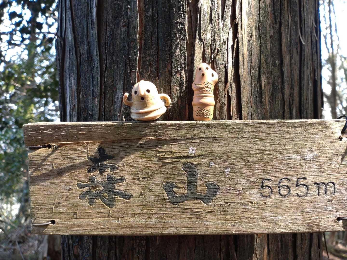 森山 周回コースの写真