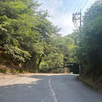 菰口から🏃‍➡️
右に行けば松笠山
左に行けば二ヶ城山

うーん、悩む😕