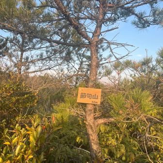 今日の17座目グレーピークの節句山🗻