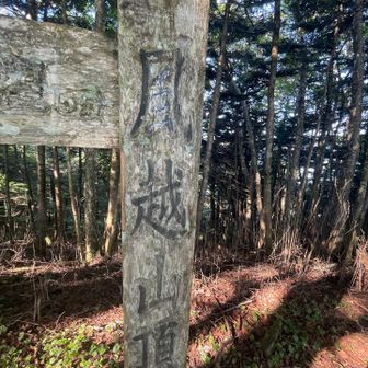 風越山山頂到着🙌眺望なし
5分ほど歩いてアルプス展望所へ