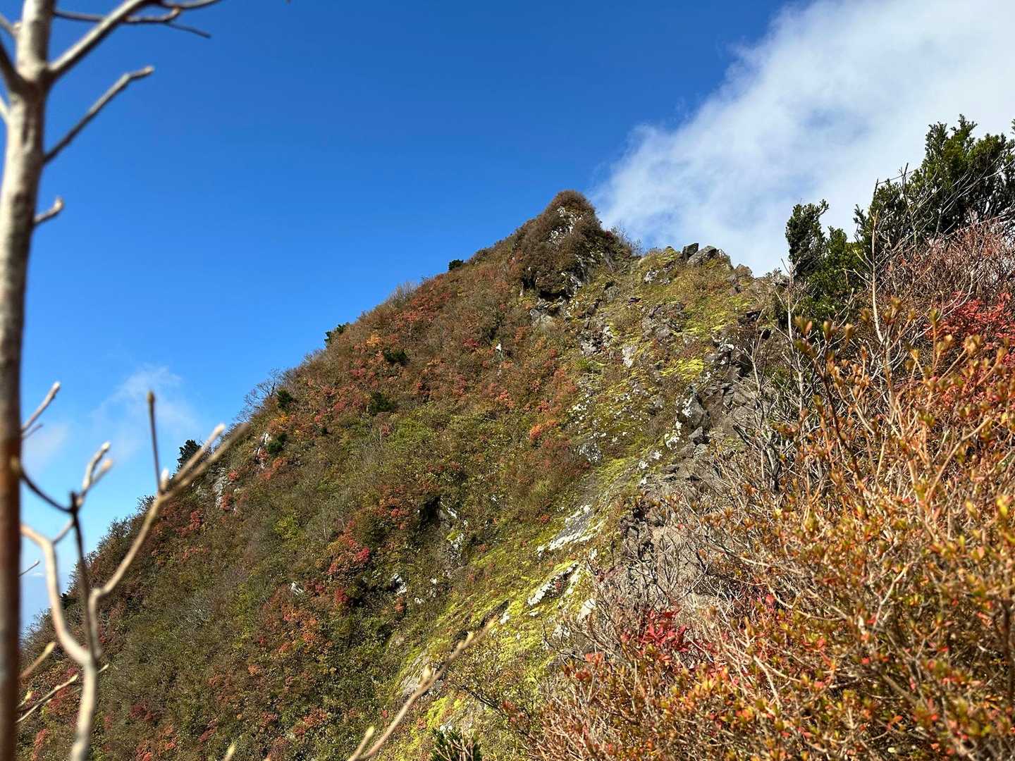 鏡ケ成キャンプ場登山口-烏ヶ山-新小屋峠 周回コースの写真