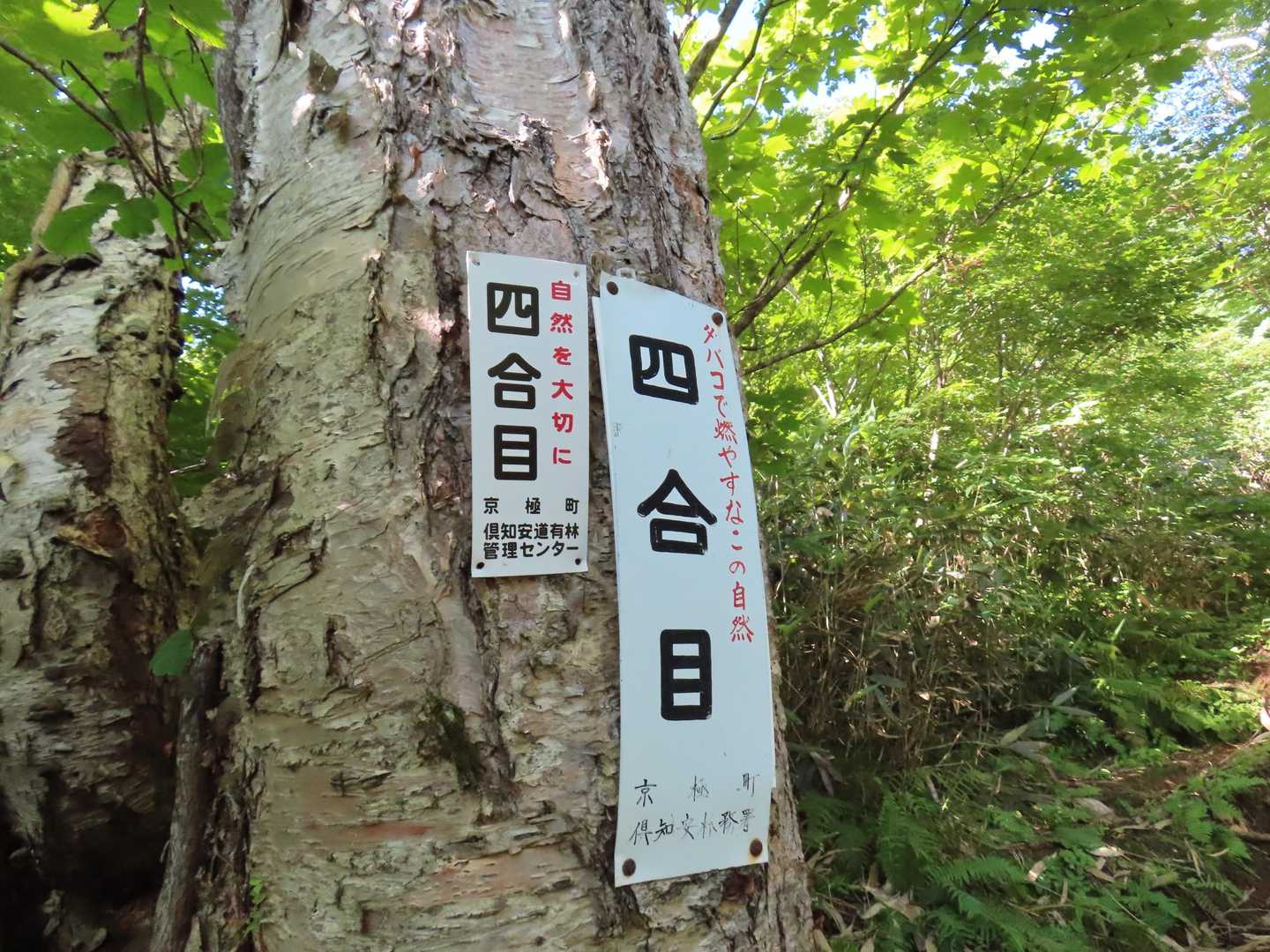 いっそのこと、タバコやめてみない？