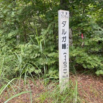 ダルガ峰着
さすが山の日、ハイカーさんに遭遇😄