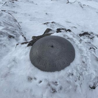 オキの耳に向かいます。