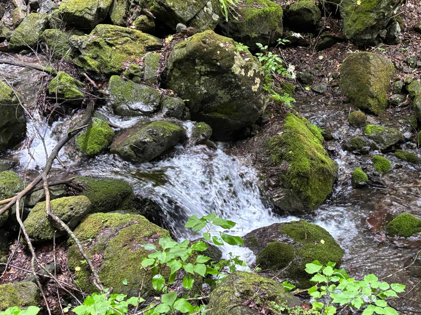 無事下山しました