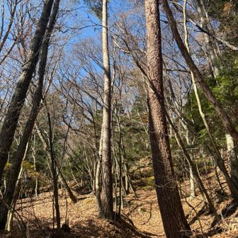 てくてく
紅葉🍁
あれ？
落ち葉🍂🍂🍂🍂
サクサク
日頃のストレスなんてちっぽけ
😊
