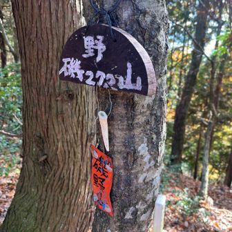 いそのさん(磯野山)こんにちは😃