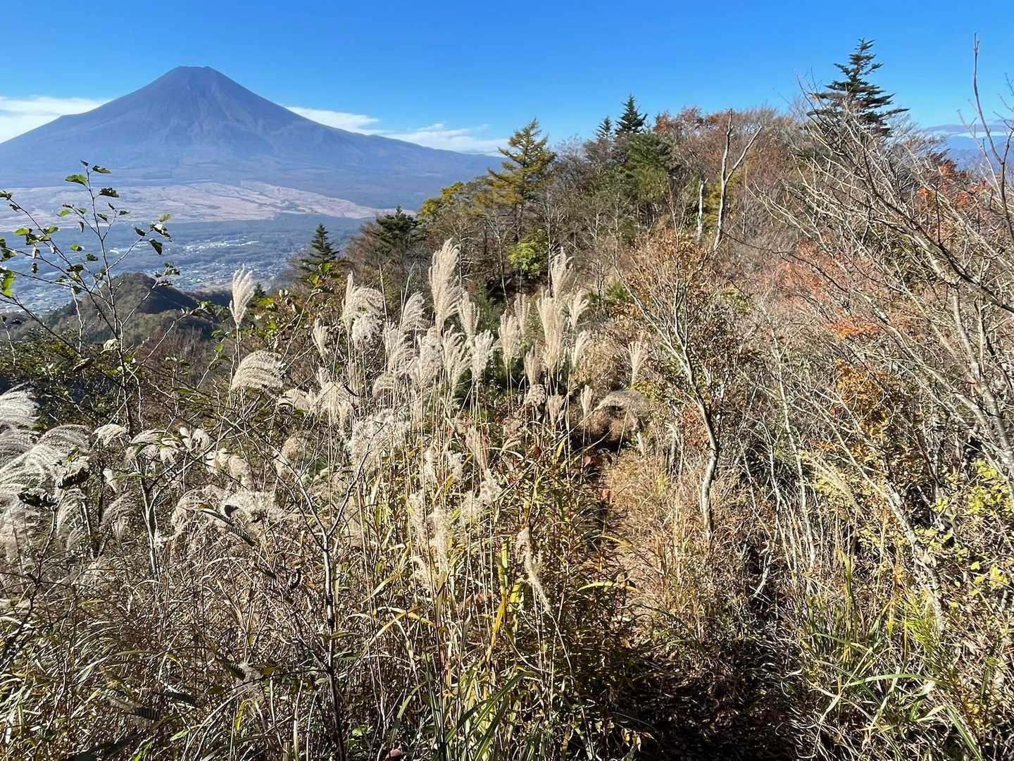 またまたビューポイントです。何だか秋を通り越して、冬っぽい感じですね。山頂以外は😅