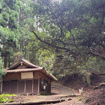 趣のある建物が📷
