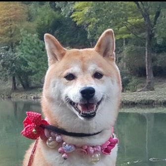 ❤ランちゃん❤