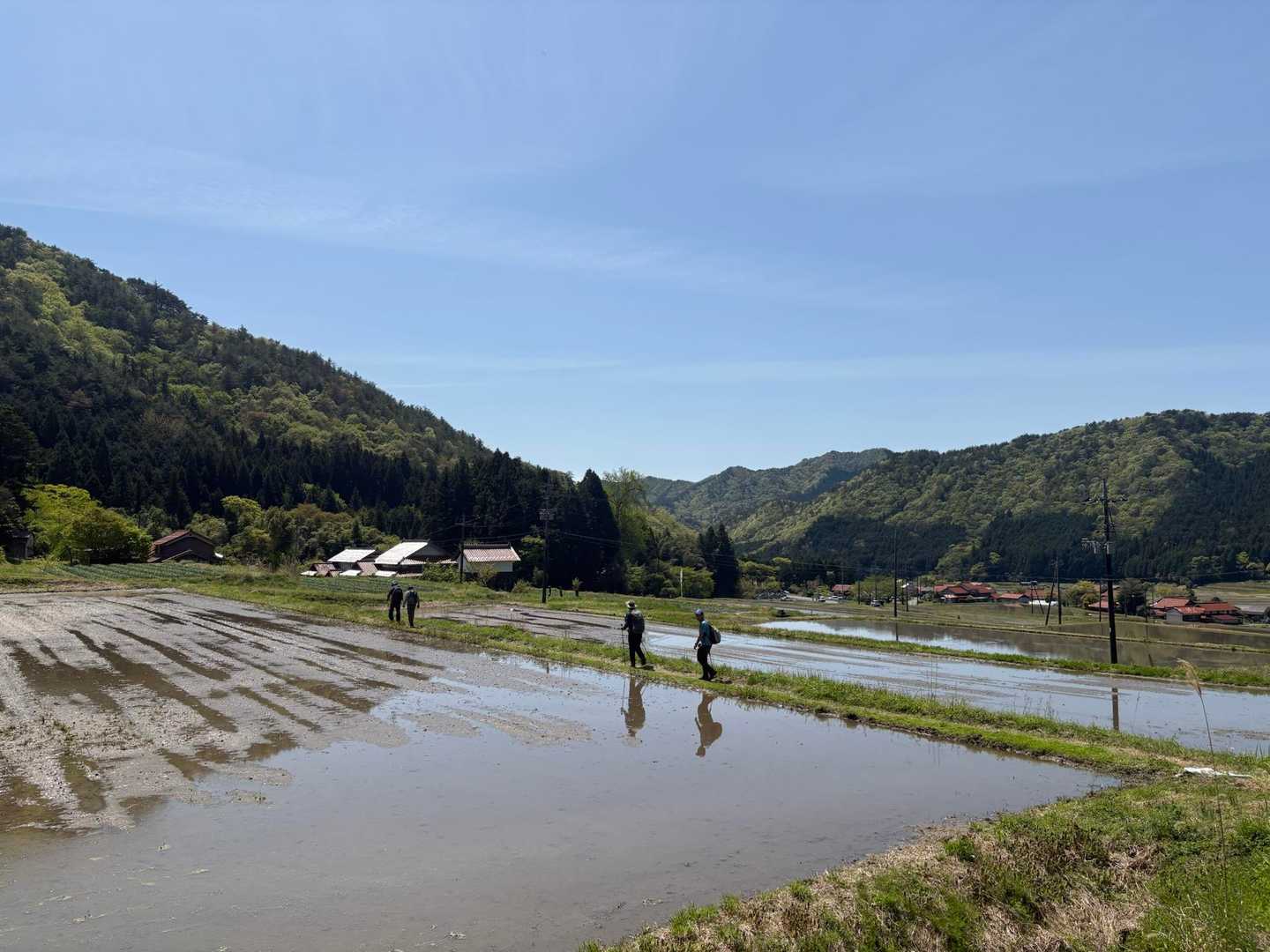 田んぼの畦道を通って…
