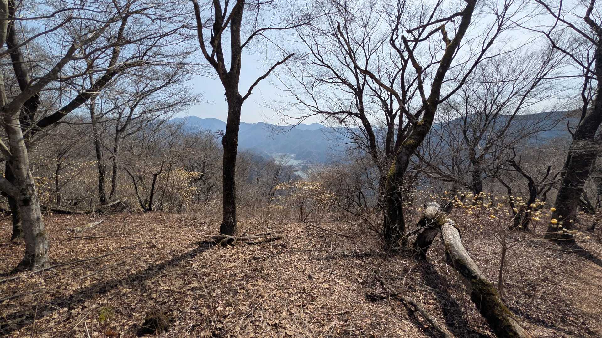 浅瀬入口バス停-ミツバ岳登山口-大出山-権現山-菩薩山-尾 周回コースの写真