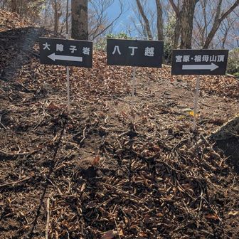 ここにもありがたく案内板があります。安心出来ますね。