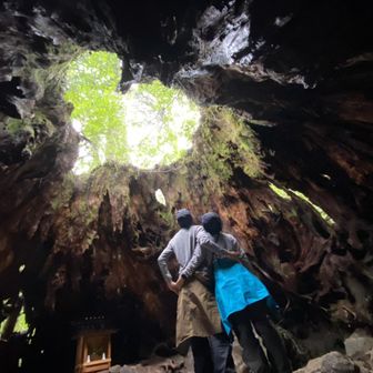 ぽーるでーびす